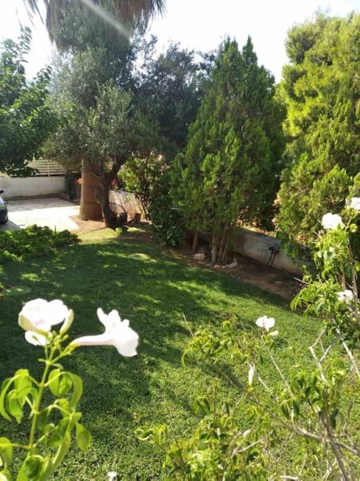 Cozy Villa Vita Lagonisi Kalivia Thorikou Luaran gambar